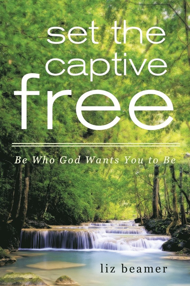 Set the Captive Free 1