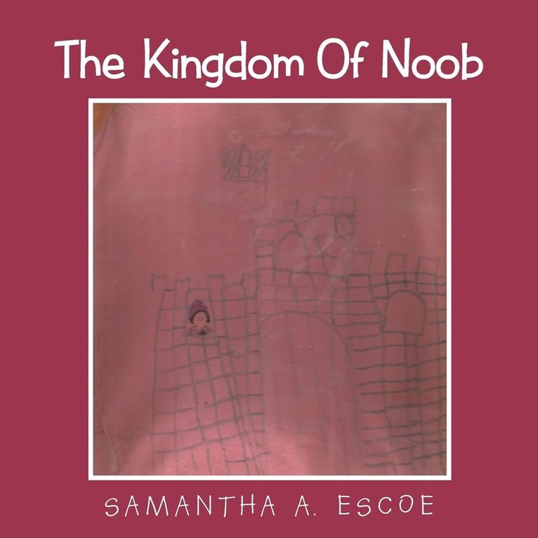 The Kingdom Of Noob 1