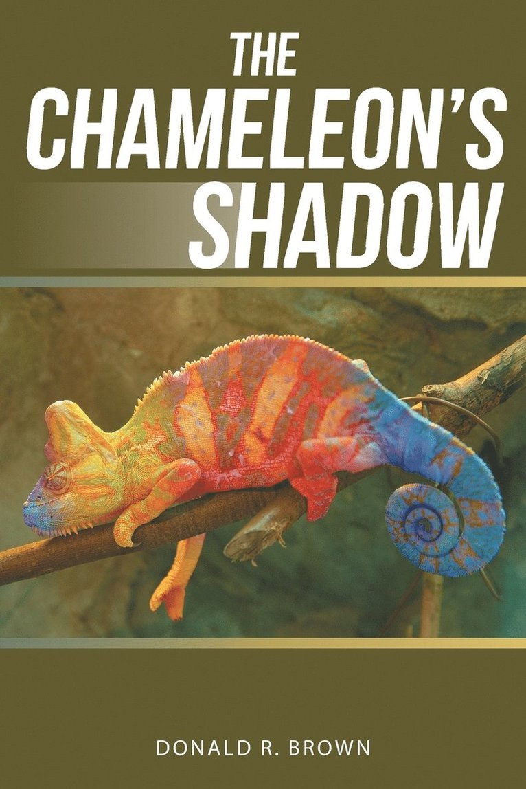 The Chameleon's Shadow 1