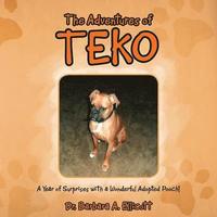 bokomslag The Adventures of Teko