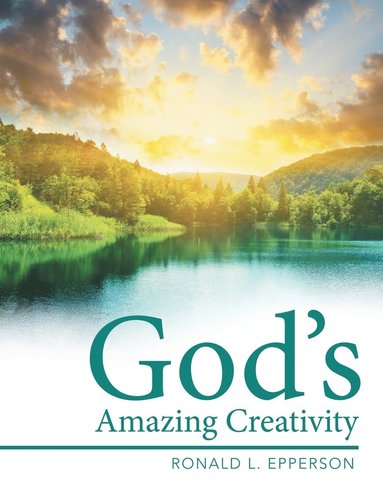 bokomslag God's Amazing Creativity