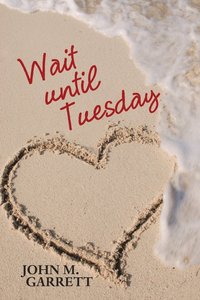bokomslag Wait until Tuesday