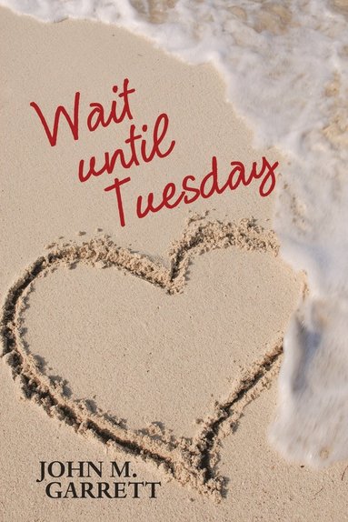 bokomslag Wait until Tuesday