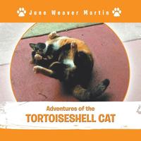 bokomslag Adventures of the Tortoiseshell Cat