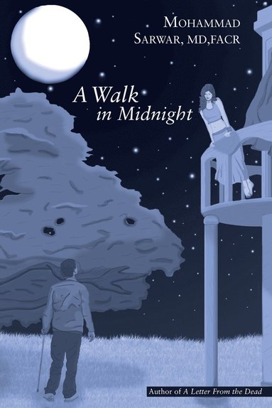 bokomslag Walk in Midnight