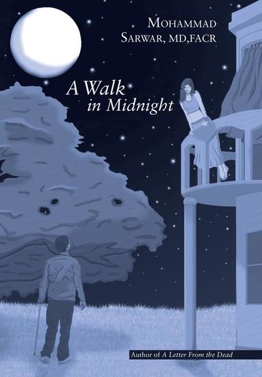 bokomslag Walk in Midnight