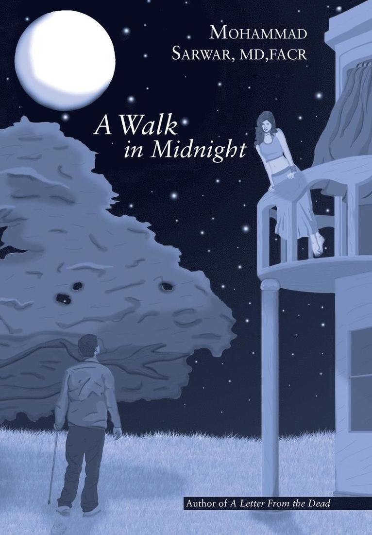 Walk in Midnight 1
