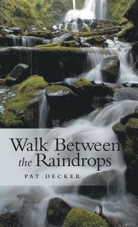 bokomslag Walk Between the Raindrops