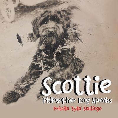 Scottie 1