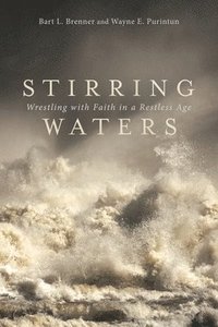bokomslag Stirring Waters