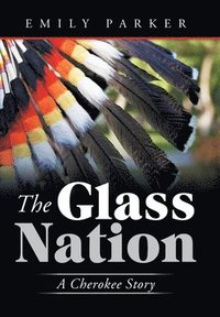 bokomslag The Glass Nation