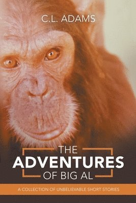 bokomslag Adventures of Big Al