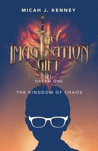bokomslag The Imagination Gift