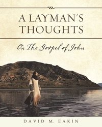 bokomslag Layman's Thoughts