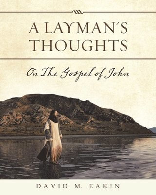 bokomslag Layman's Thoughts
