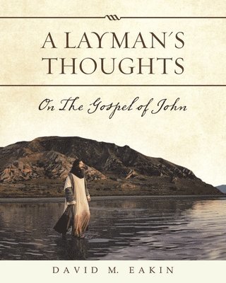 A Layman's Thoughts 1