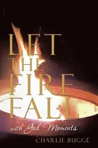 bokomslag Let the Fire Fall