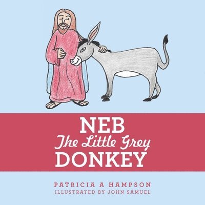Neb the Little Grey Donkey 1