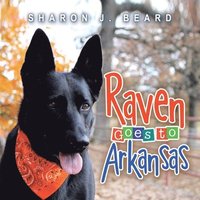 bokomslag Raven Goes To Arkansas