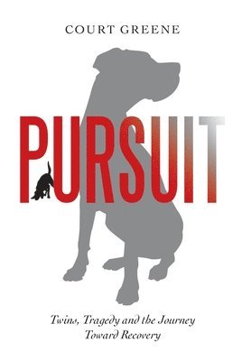 Pursuit 1