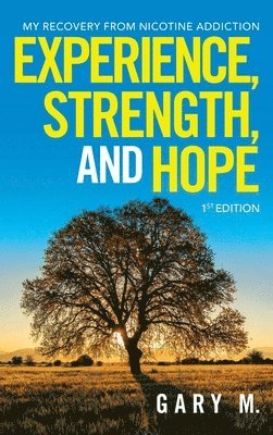 bokomslag Experience, Strength, and Hope