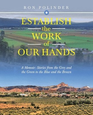 bokomslag Establish the Work of Our Hands