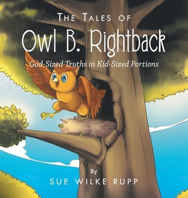 Sue Wilke Rupp - Tales of Owl B. Rightback, Inbunden