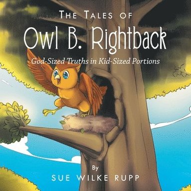 bokomslag Tales of Owl B. Rightback