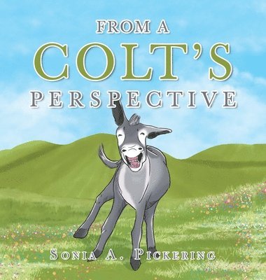 From a Colt's Perspective 1