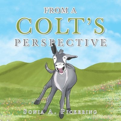 From a Colt's Perspective 1