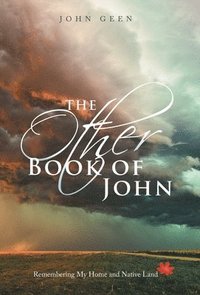 bokomslag The Other Book of John