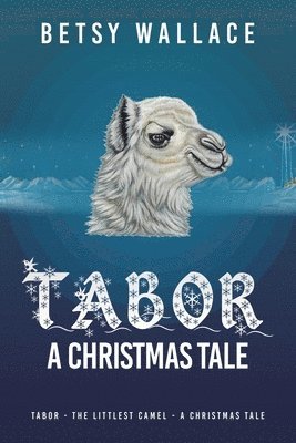 bokomslag Tabor - A Christmas Tale