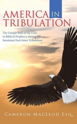 bokomslag America in Tribulation