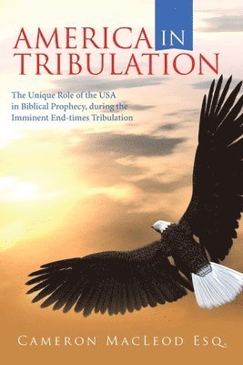 America in Tribulation 1