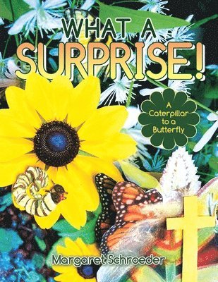 What a Surprise! 1
