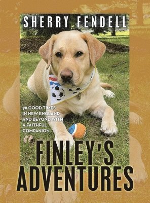 Sherry Fendell - Finley's Adventures, Inbunden