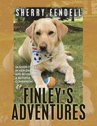 bokomslag Finley's Adventures