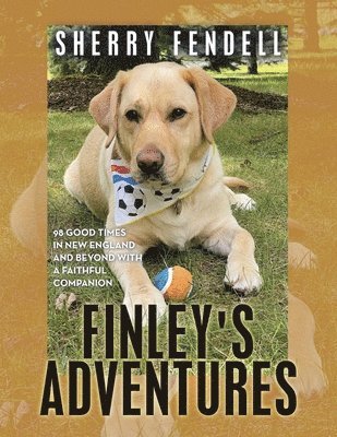 Finley's Adventures 1