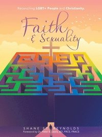 bokomslag Faith & Sexuality