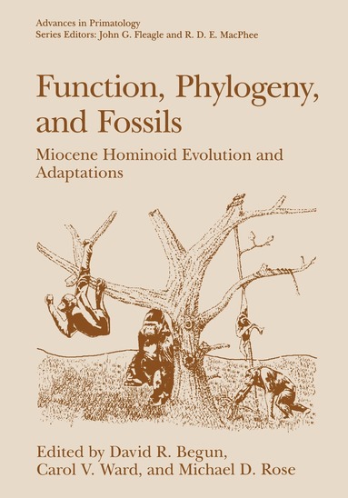 David R. Begun, Carol V. Ward, Michael D. Rose - Function, Phylogeny, and Fossils, Häftad
