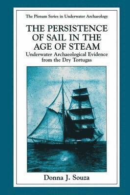 The Persistence of Sail in the Age of Steam 1