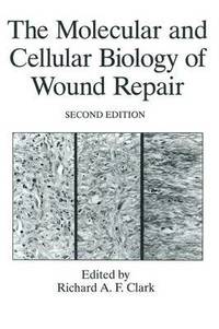 bokomslag The Molecular and Cellular Biology of Wound Repair