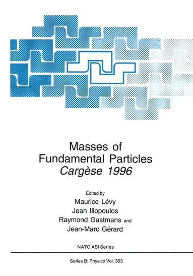 bokomslag Masses of Fundamental Particles