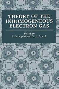 bokomslag Theory of the Inhomogeneous Electron Gas