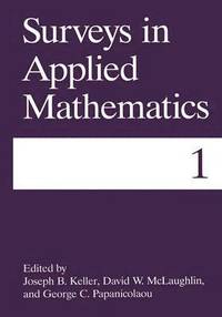 bokomslag Surveys in Applied Mathematics