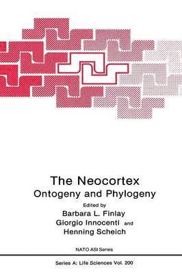 Barbara L. Finlay, Giorgio M. Innocenti, Henning Scheich - Neocortex, Häftad