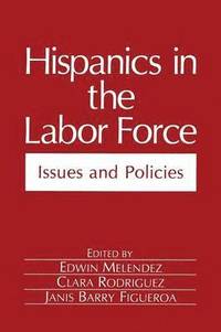bokomslag Hispanics in the Labor Force
