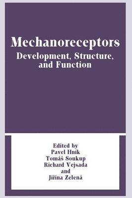 Mechanoreceptors 1