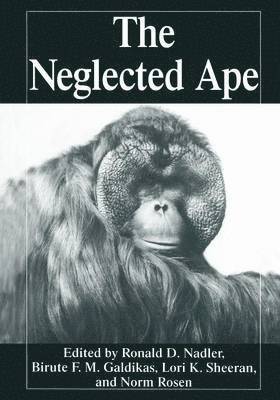 Biruté M.F. Galdikas, R.D. Nadler, N. Rosen, Lori K. Sheeran, Biruté M. F. Galdikas, R. D. Nadler - Neglected Ape, Häftad