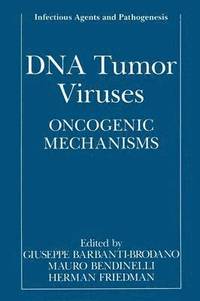 bokomslag DNA Tumor Viruses